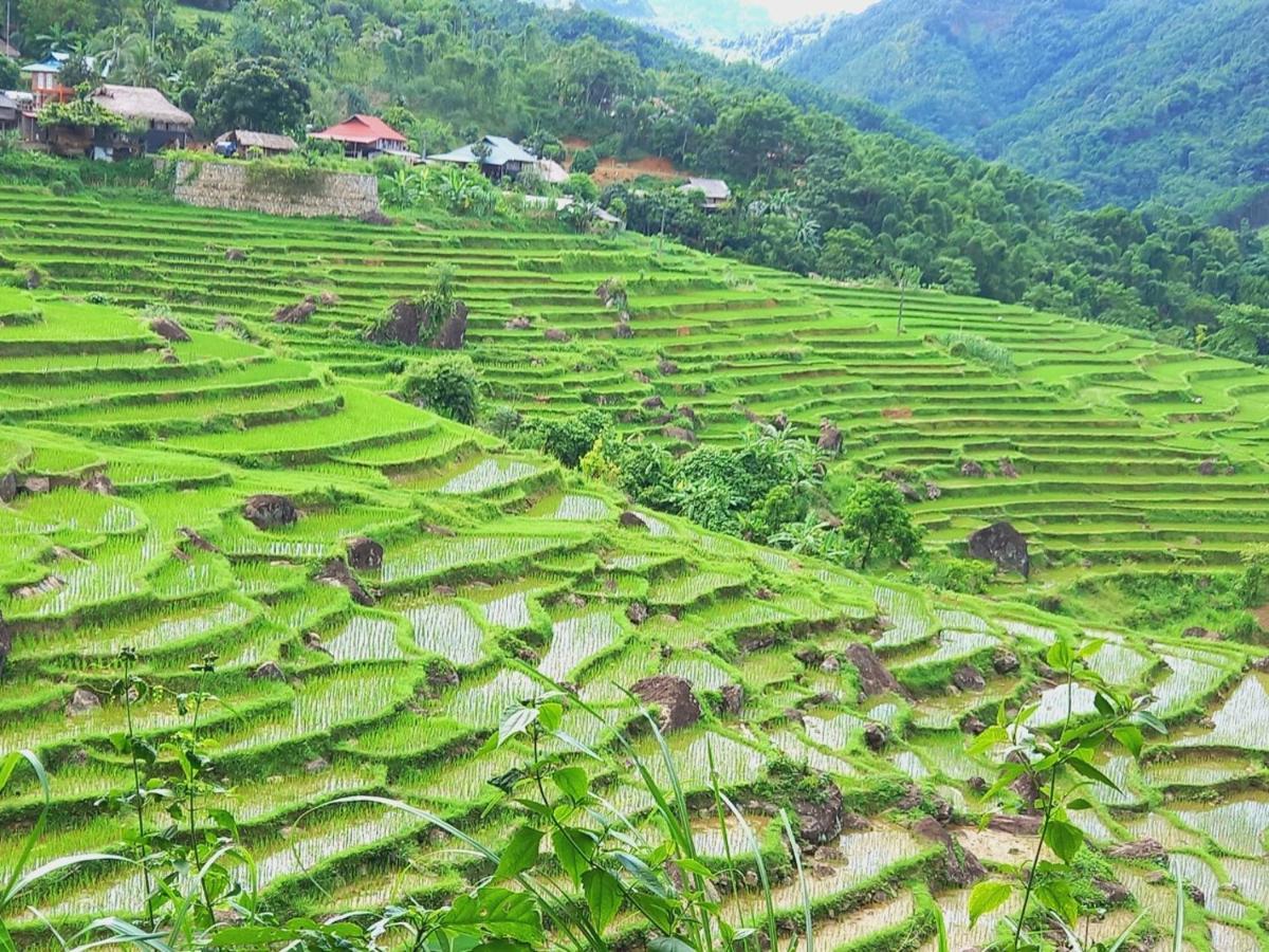Nha Tan - Mai Chau Homestay And Tours Buitenkant foto