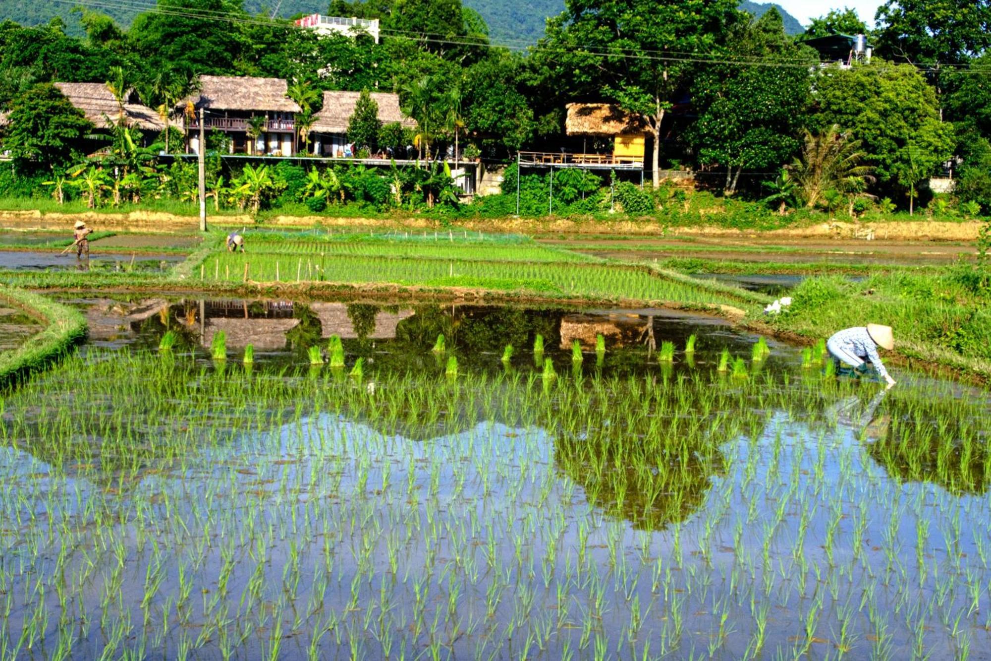 Nha Tan - Mai Chau Homestay And Tours Buitenkant foto
