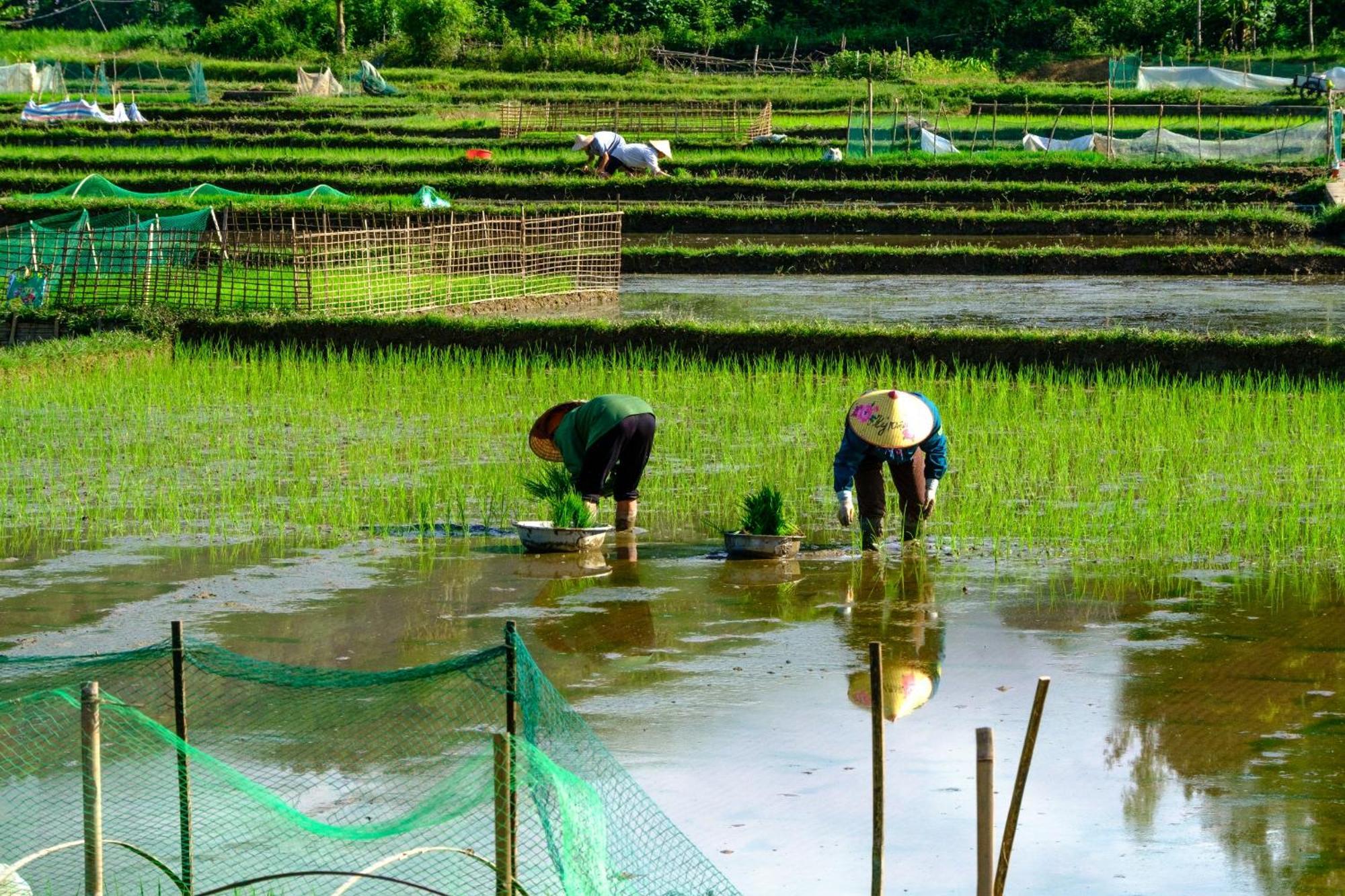 Nha Tan - Mai Chau Homestay And Tours Buitenkant foto