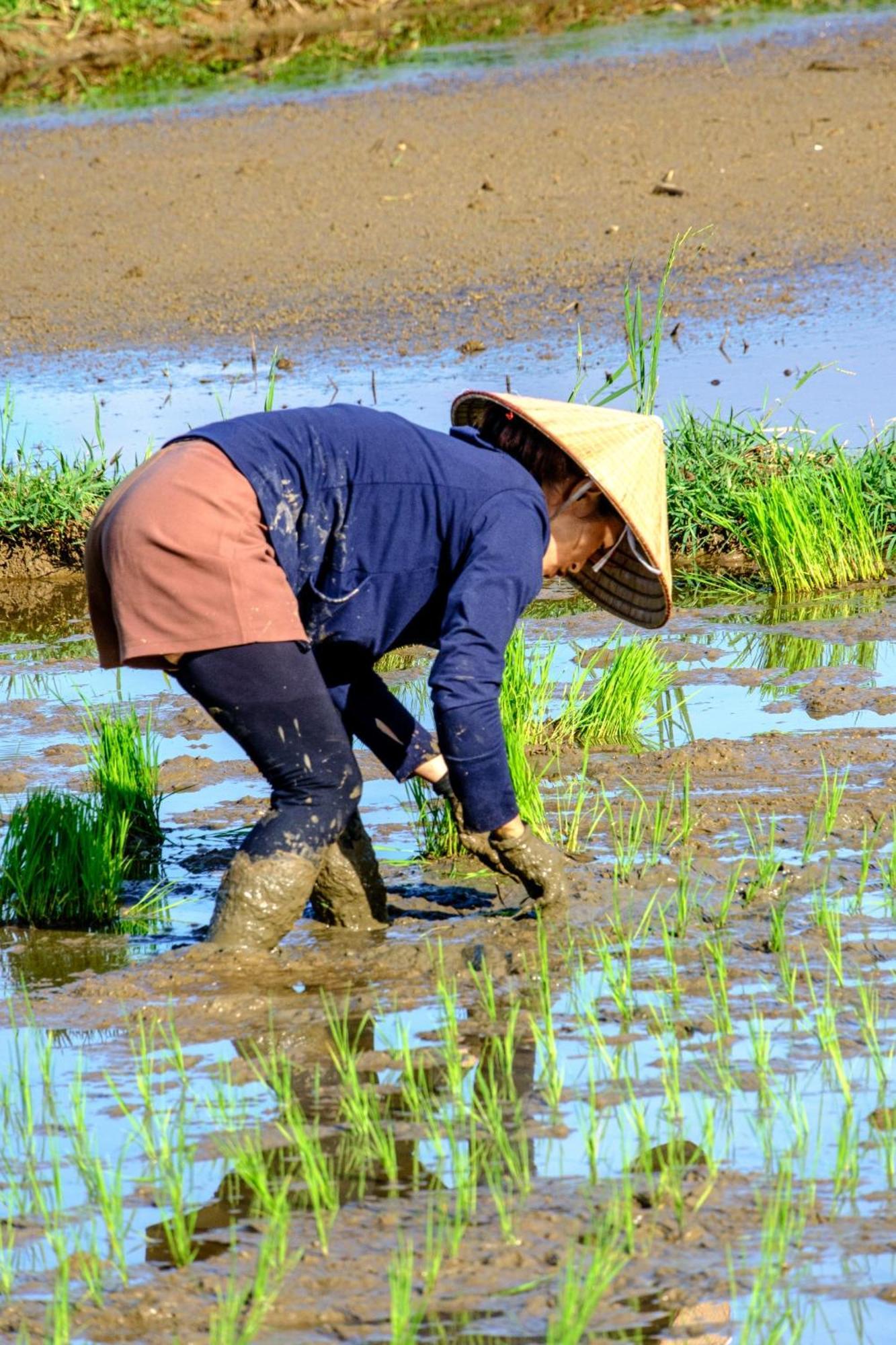 Nha Tan - Mai Chau Homestay And Tours Buitenkant foto