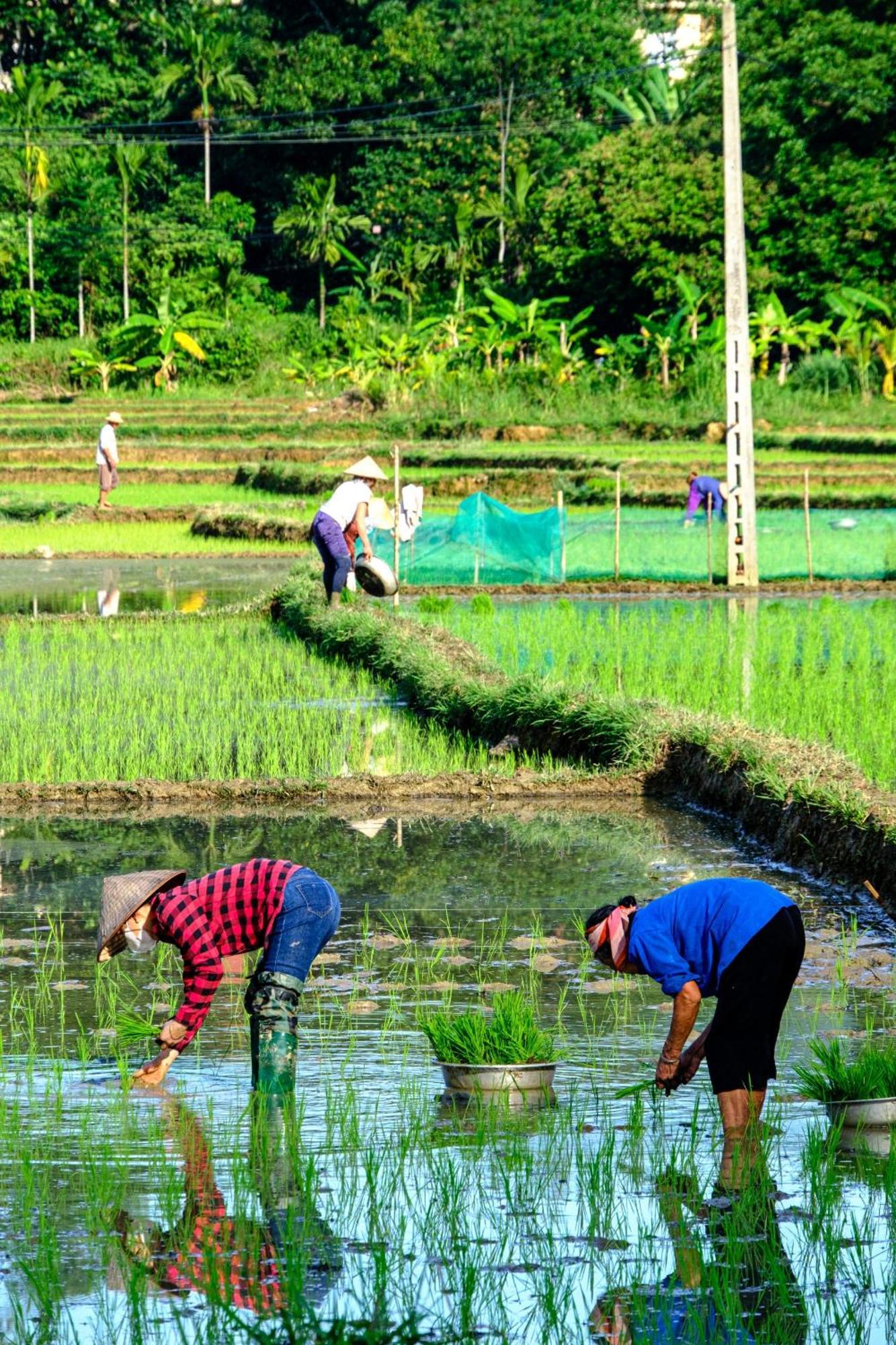 Nha Tan - Mai Chau Homestay And Tours Buitenkant foto